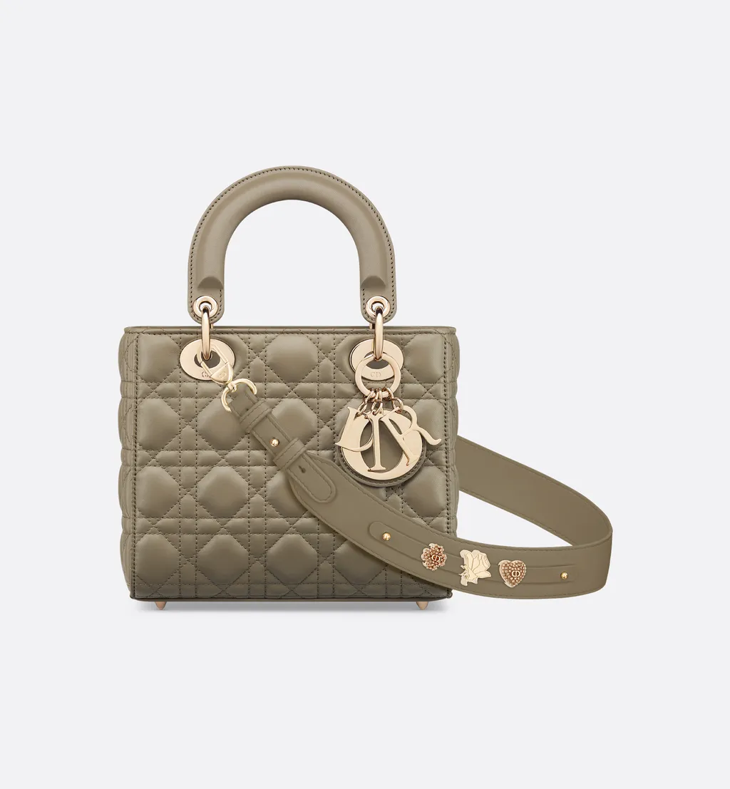 Small Lady Dior My Abcdior Bag