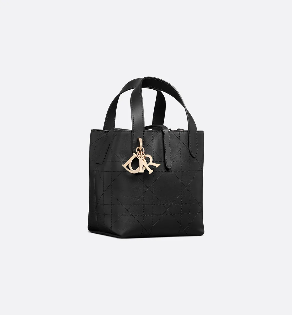 Small Dior Toujours Vertical Tote Bag