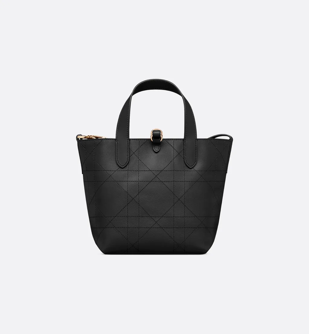 Small Dior Toujours Vertical Tote Bag