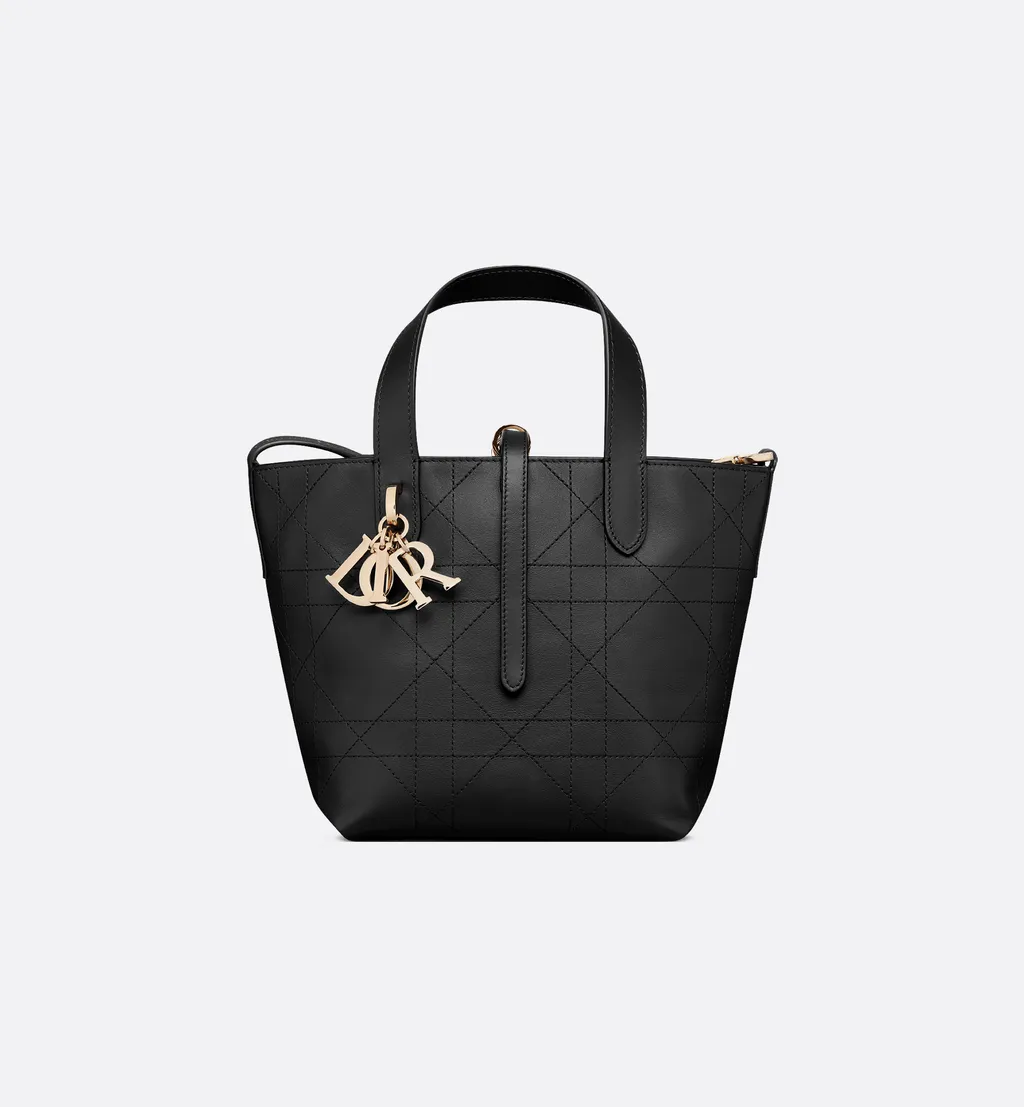 Small Dior Toujours Vertical Tote Bag