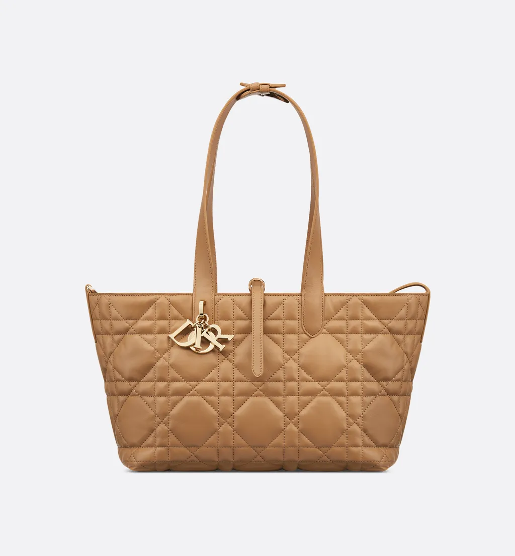 Medium Dior Toujours Bag
