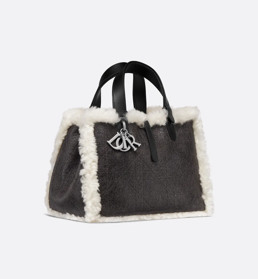 Dioralps Medium Dior Toujours Bag