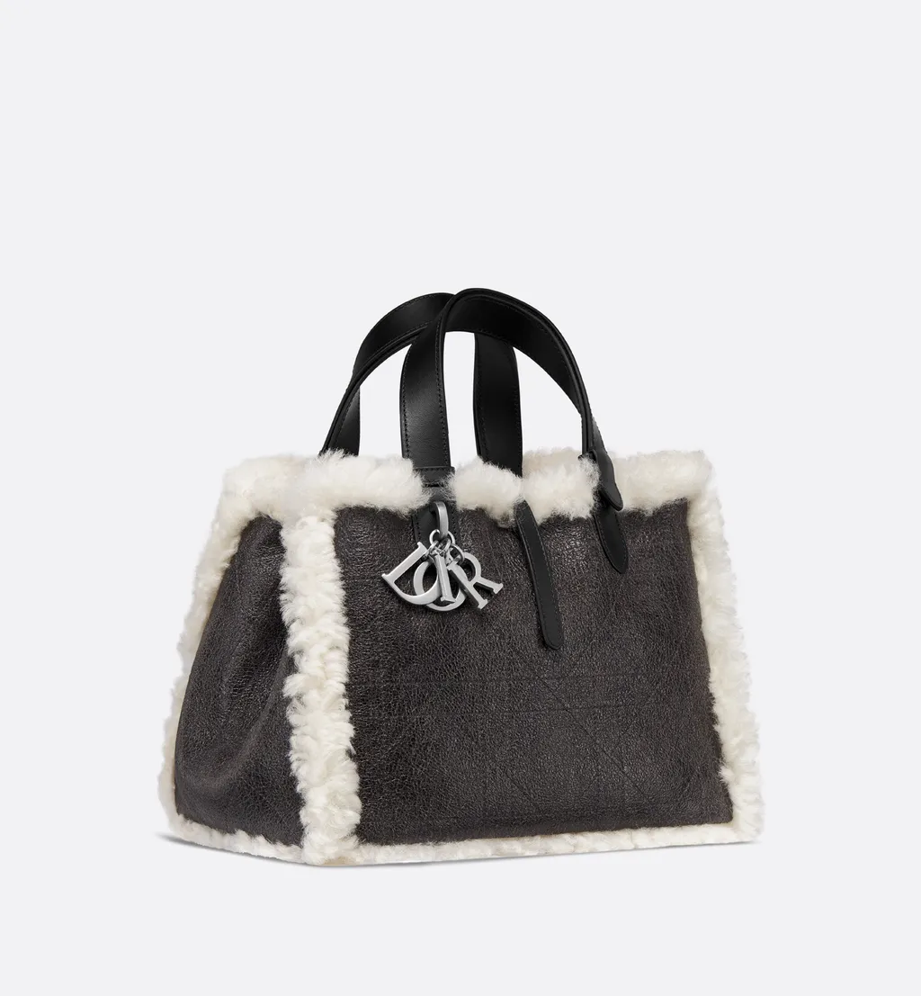 Dioralps Medium Dior Toujours Bag