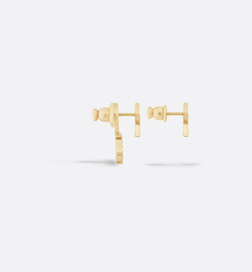 Dioevolution Earrings