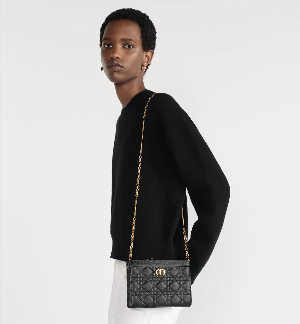 Dior Caro Every Dior Pouch