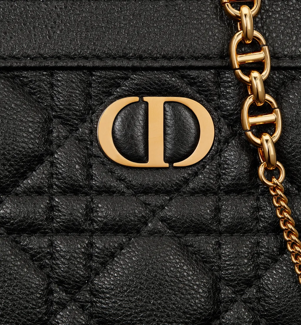 Dior Caro Every Dior Pouch