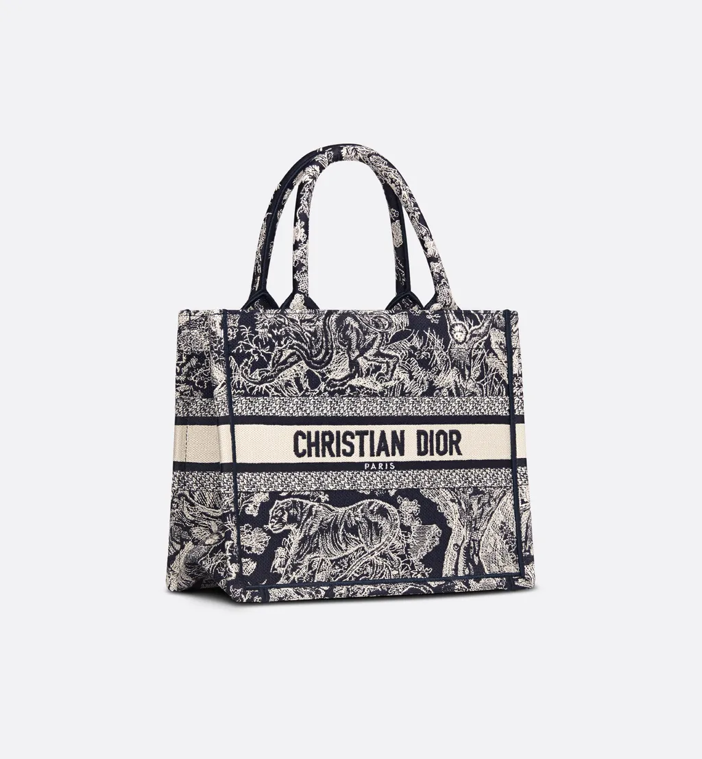 Small Dior Book Tote
