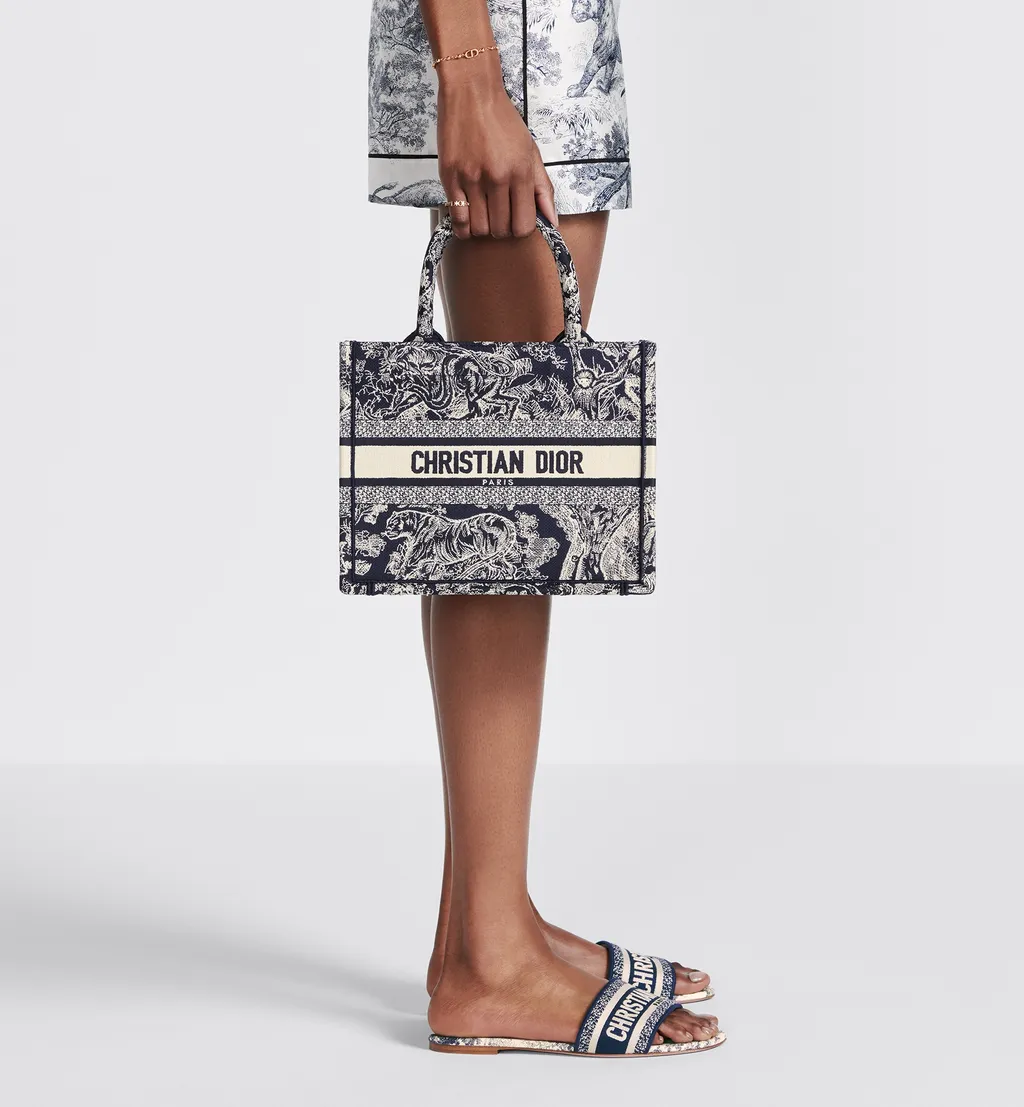 Small Dior Book Tote