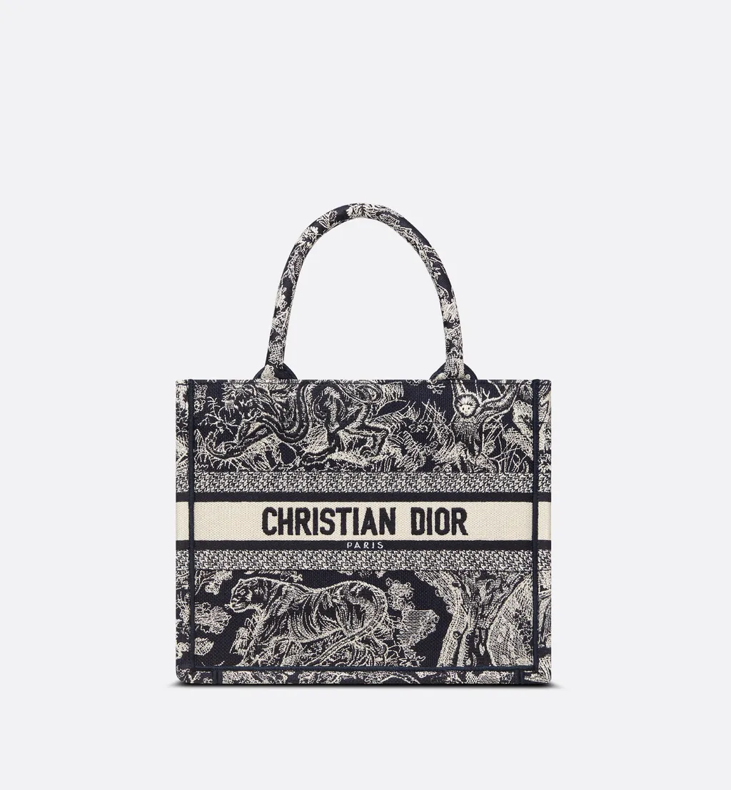Small Dior Book Tote