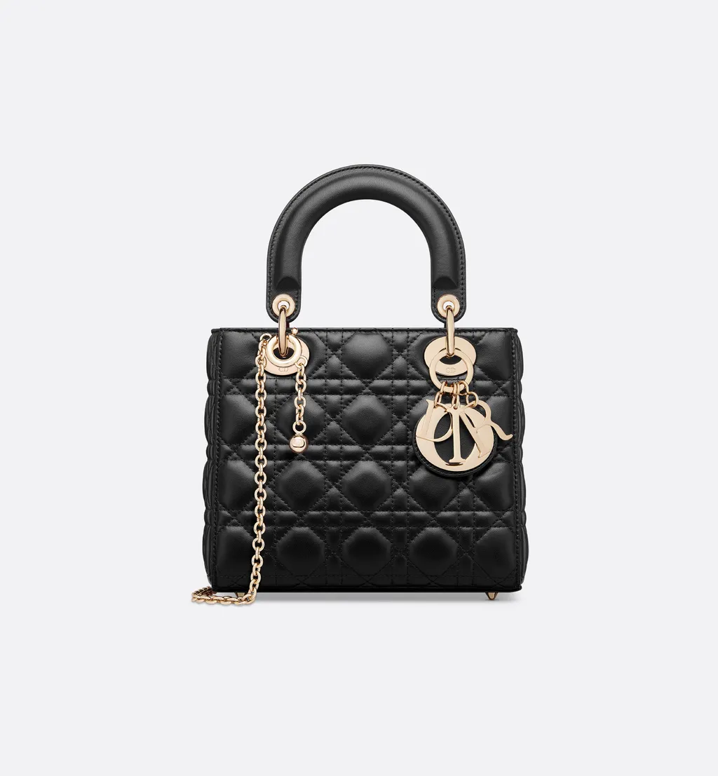 My Lady Dior And I Bag