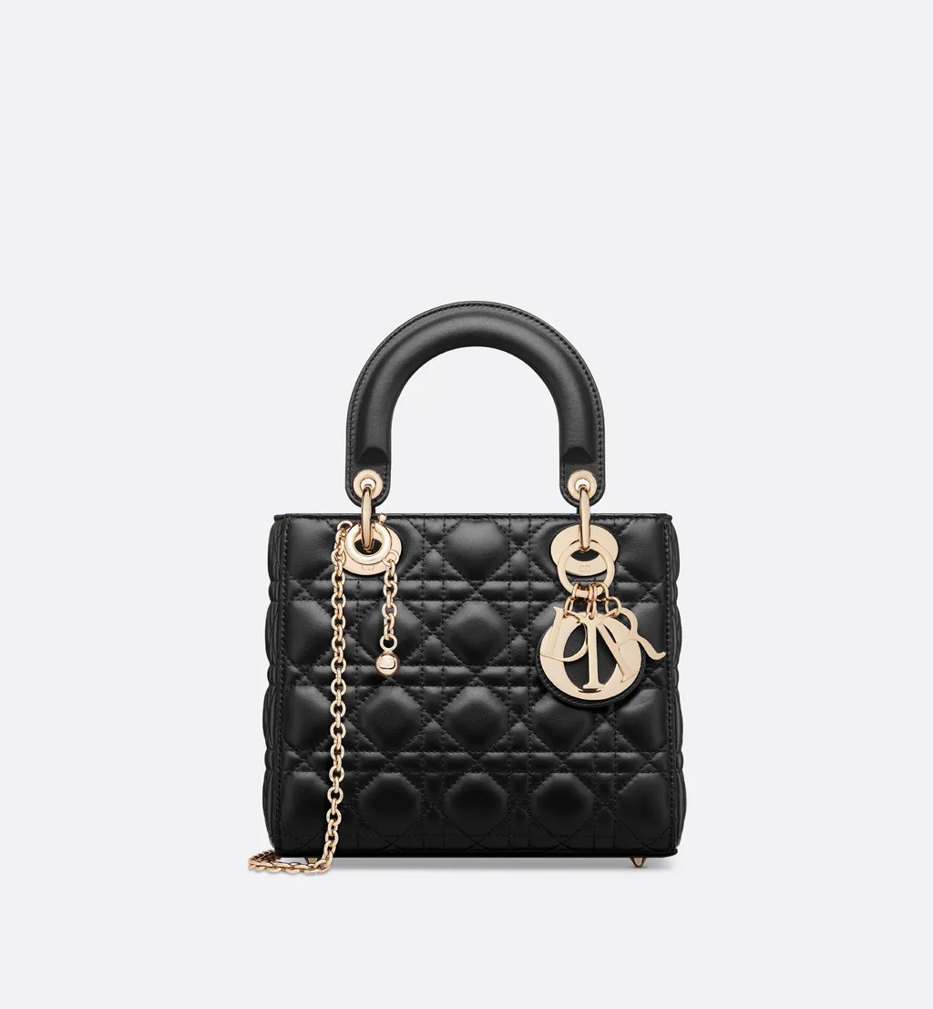 My Lady Dior And I Bag