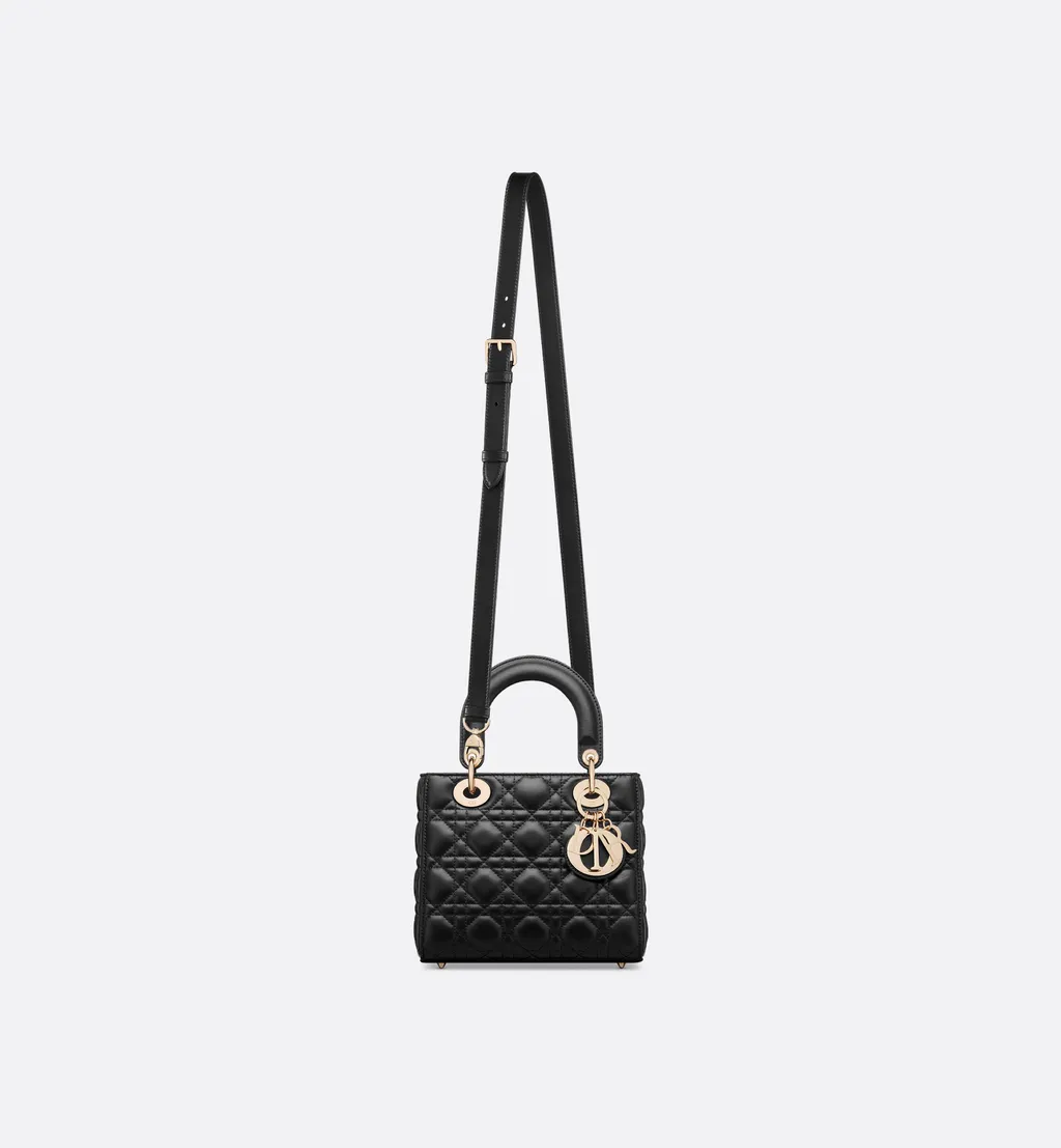 My Lady Dior And I Bag