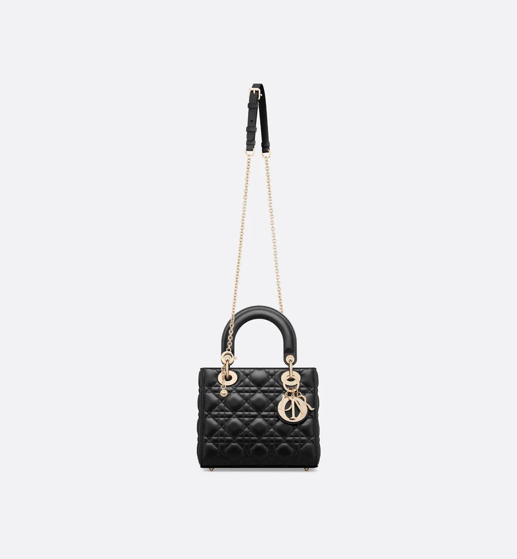 My Lady Dior And I Bag