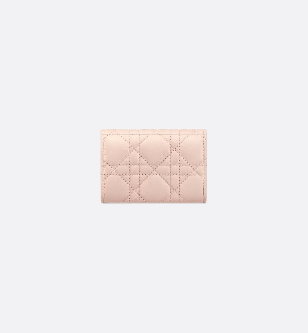 Dior Caro Glycine Wallet