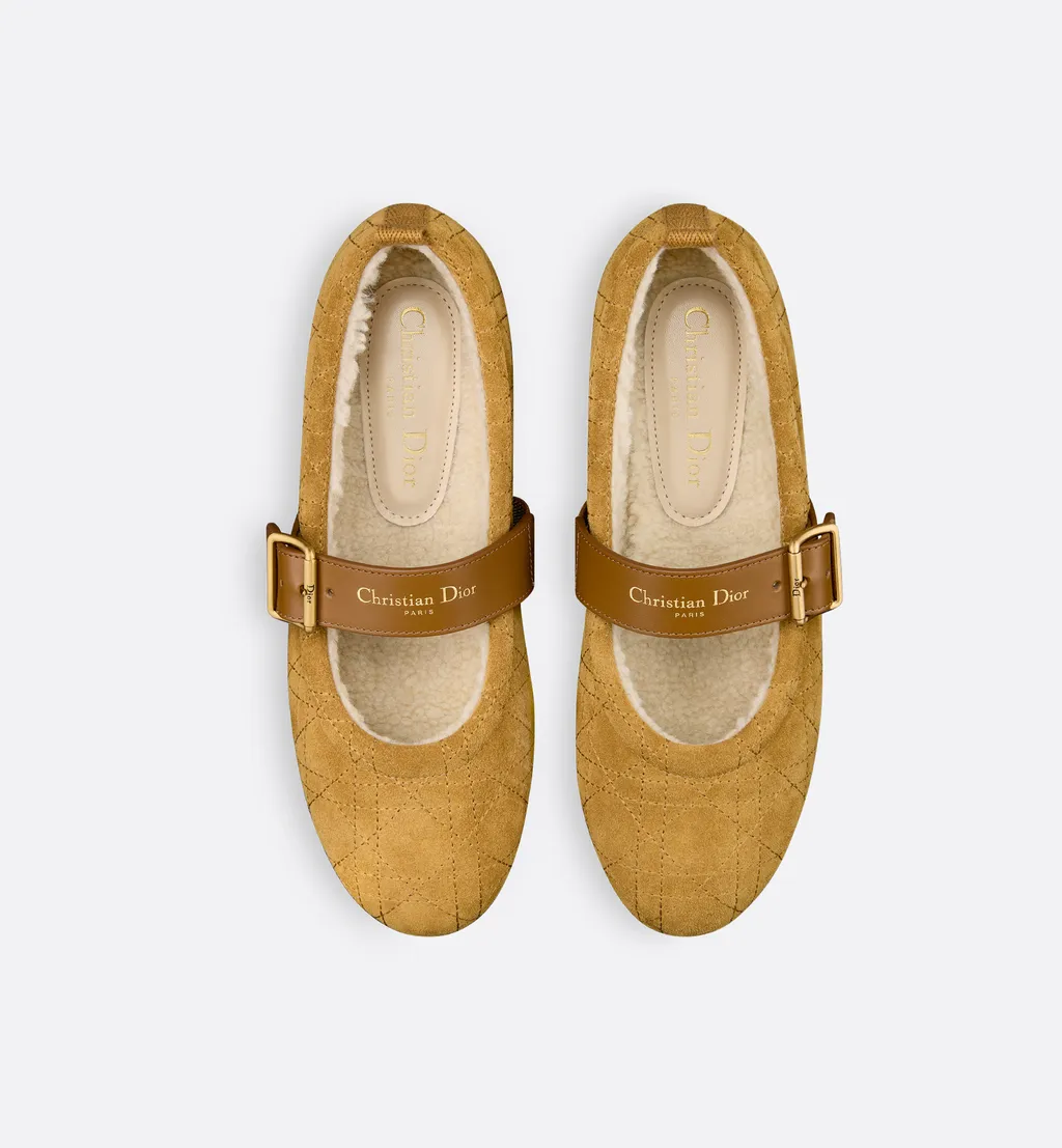 Dioralps Dior Frost Ballet Flat