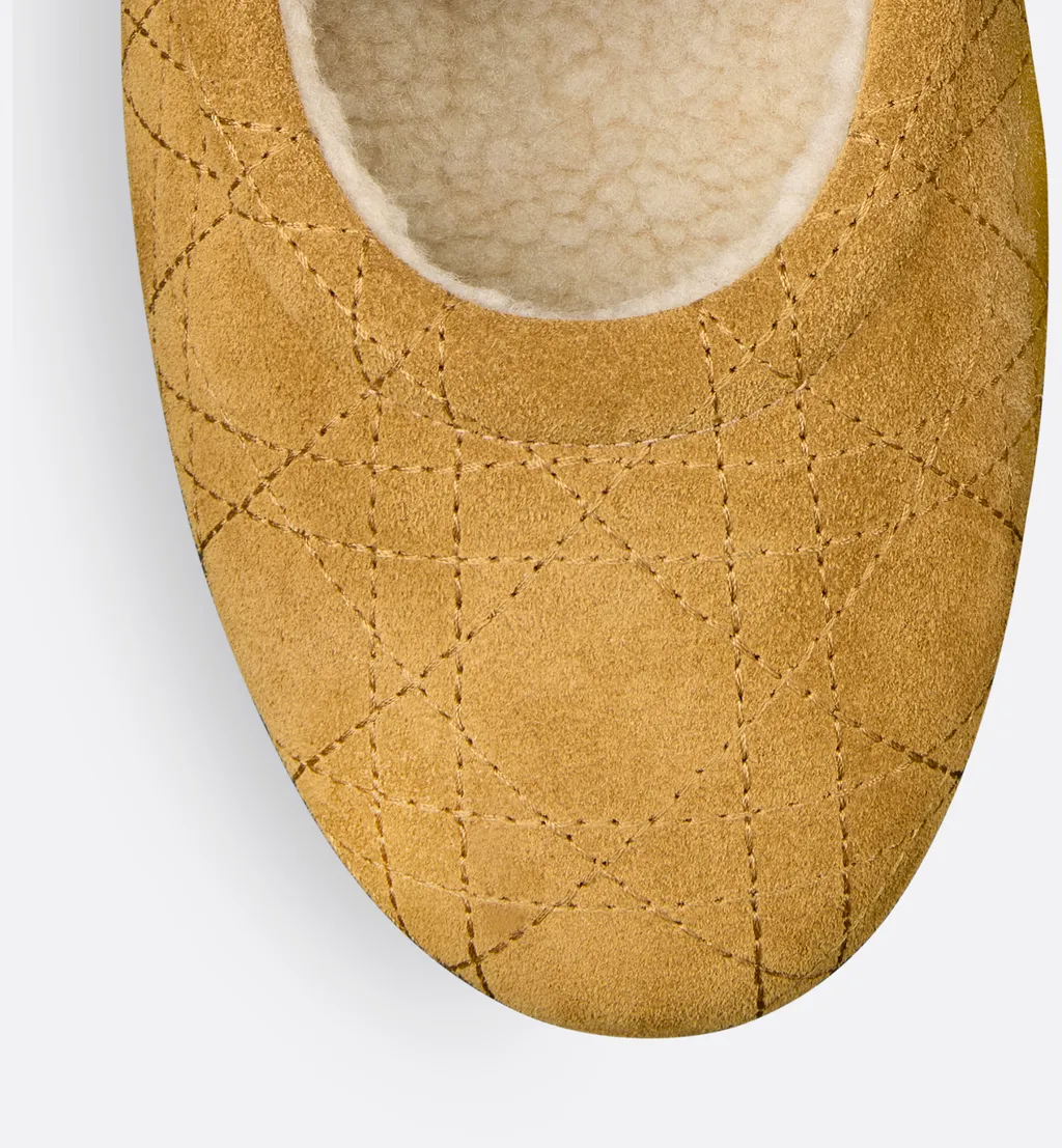 Dioralps Dior Frost Ballet Flat