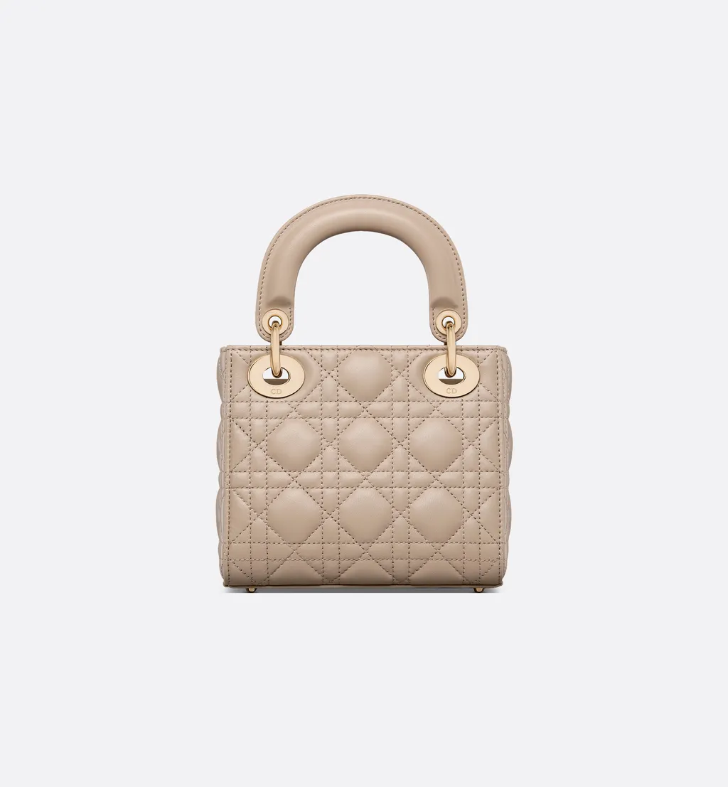 Mini Lady Dior Bag