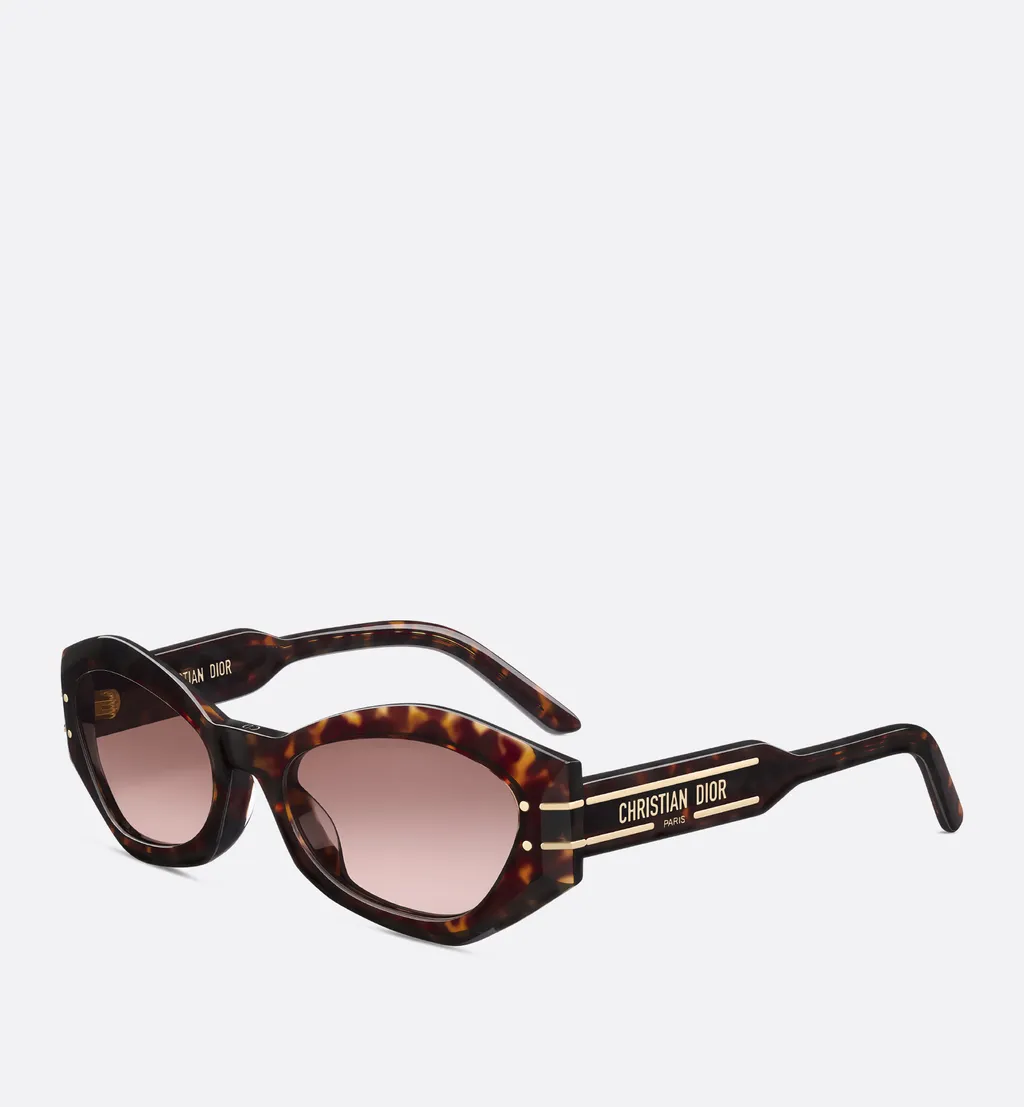 Diorsignature B1U