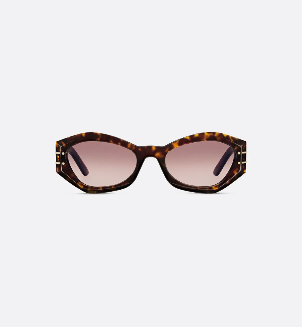 Diorsignature B1U
