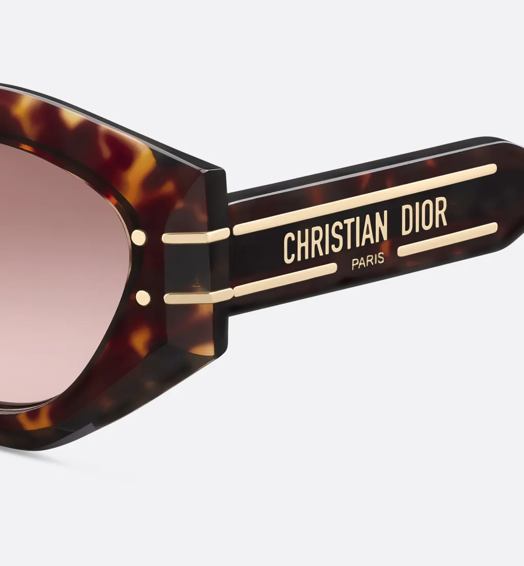 Diorsignature B1U