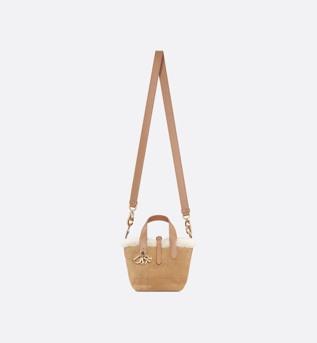 Dioralps Dior Toujours Vertical Nano Tote Bag