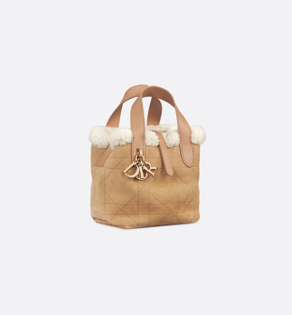 Dioralps Dior Toujours Vertical Nano Tote Bag