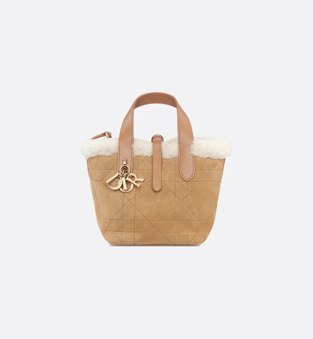 Dioralps Dior Toujours Vertical Nano Tote Bag