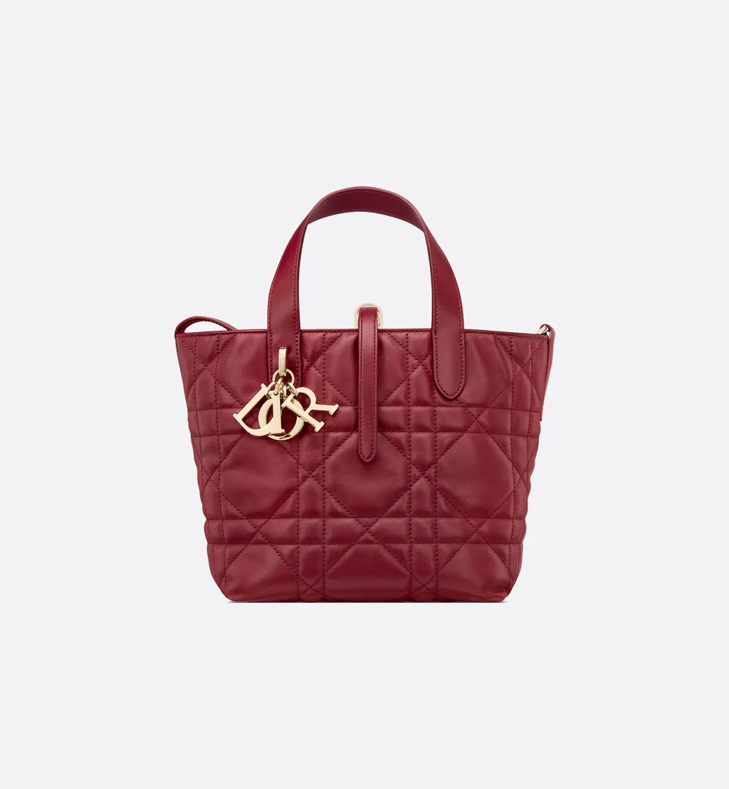 Small Dior Toujours Vertical Tote Bag