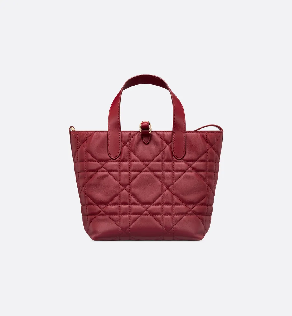 Small Dior Toujours Vertical Tote Bag