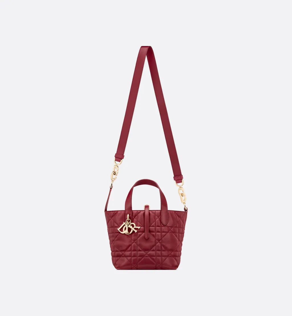 Small Dior Toujours Vertical Tote Bag