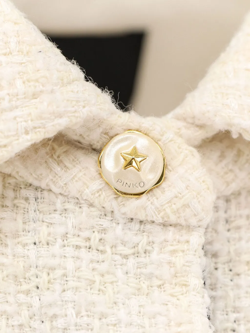 Pinko Long Sleeved Buttoned Jacket