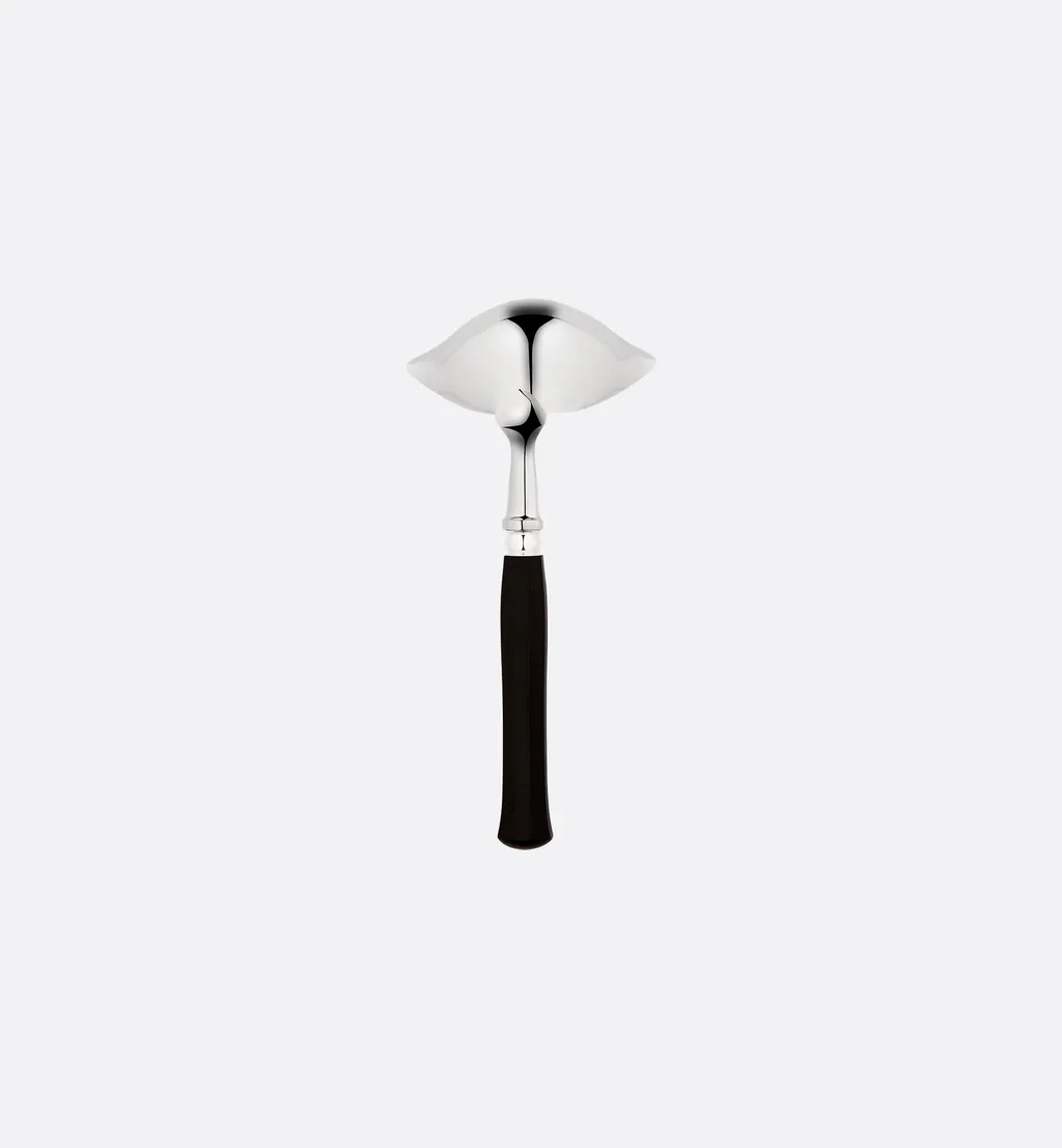 Ladle
