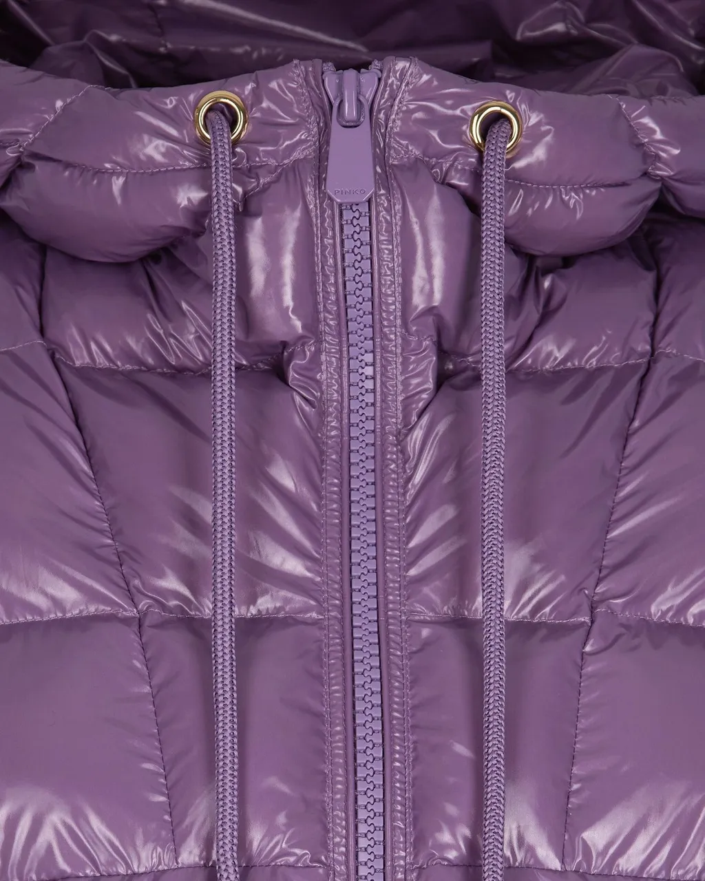 Pinko Zip-Up Hooded Jacket