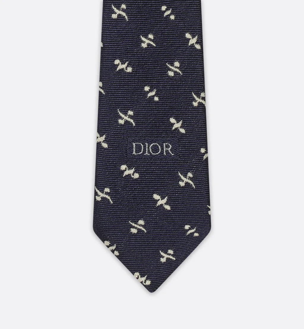Monsieur Dior Tie