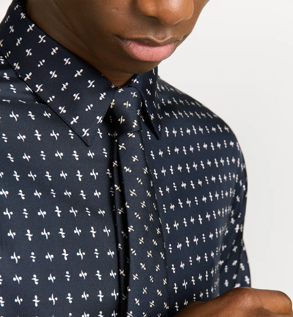 Monsieur Dior Tie