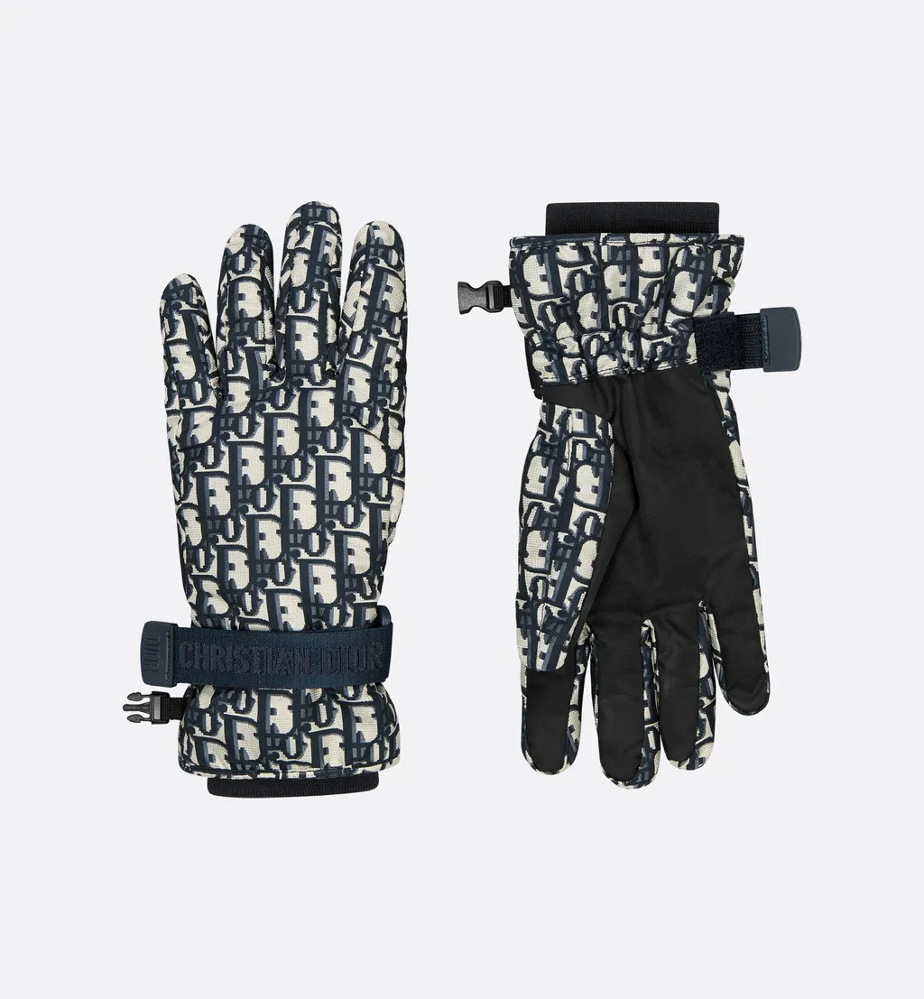 Dioralps Dior Oblique Ski Gloves