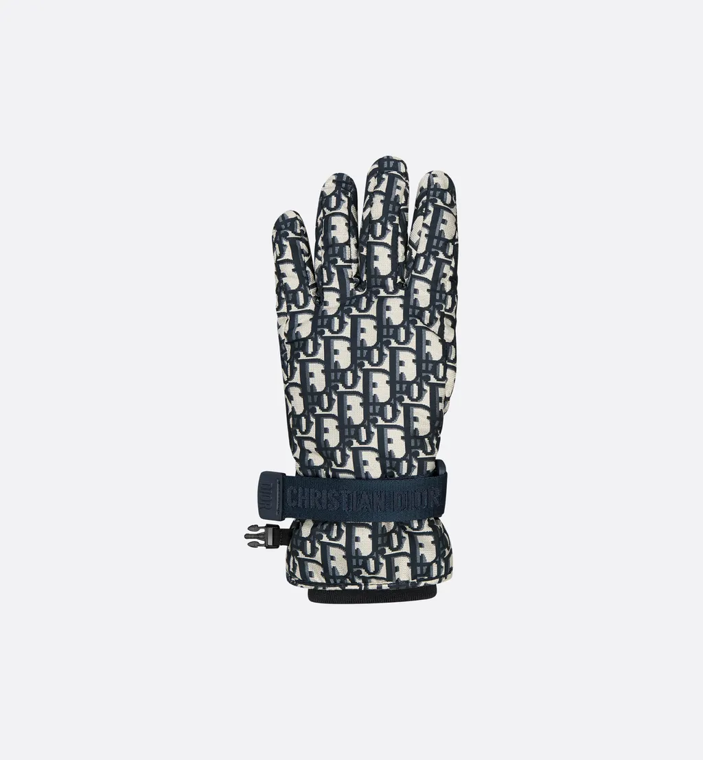 Dioralps Dior Oblique Ski Gloves