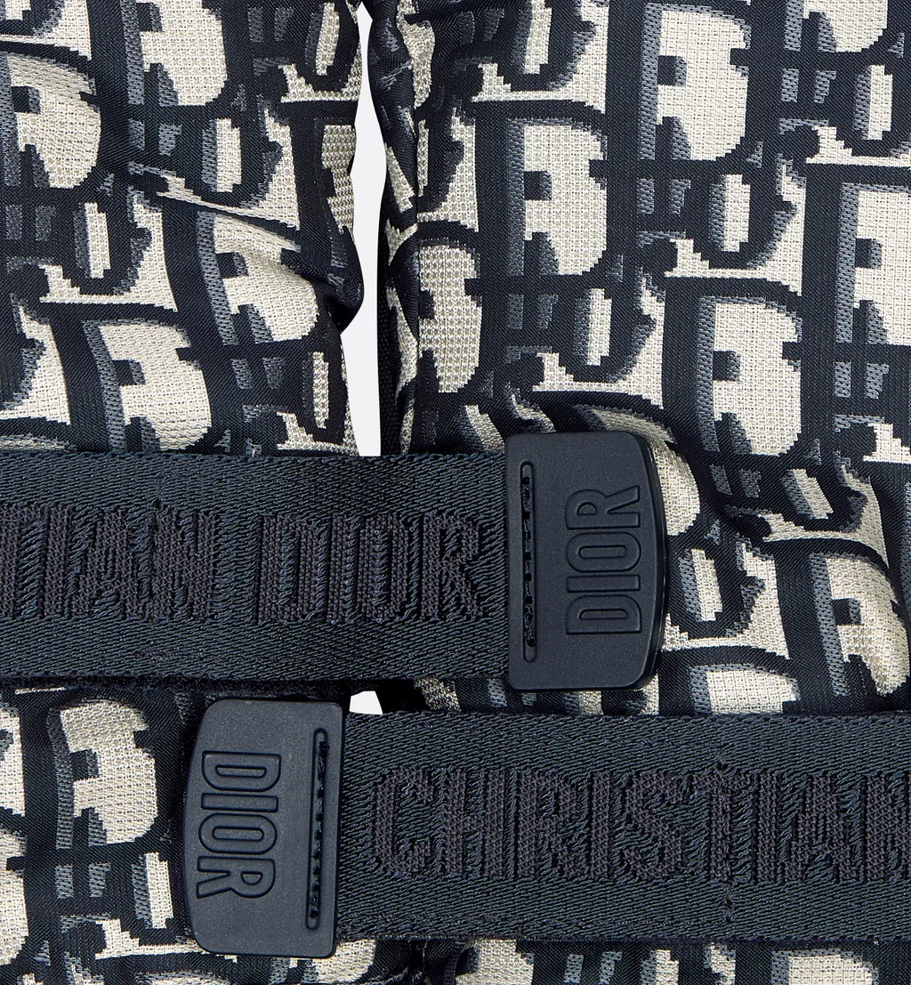 Dioralps Dior Oblique Ski Gloves