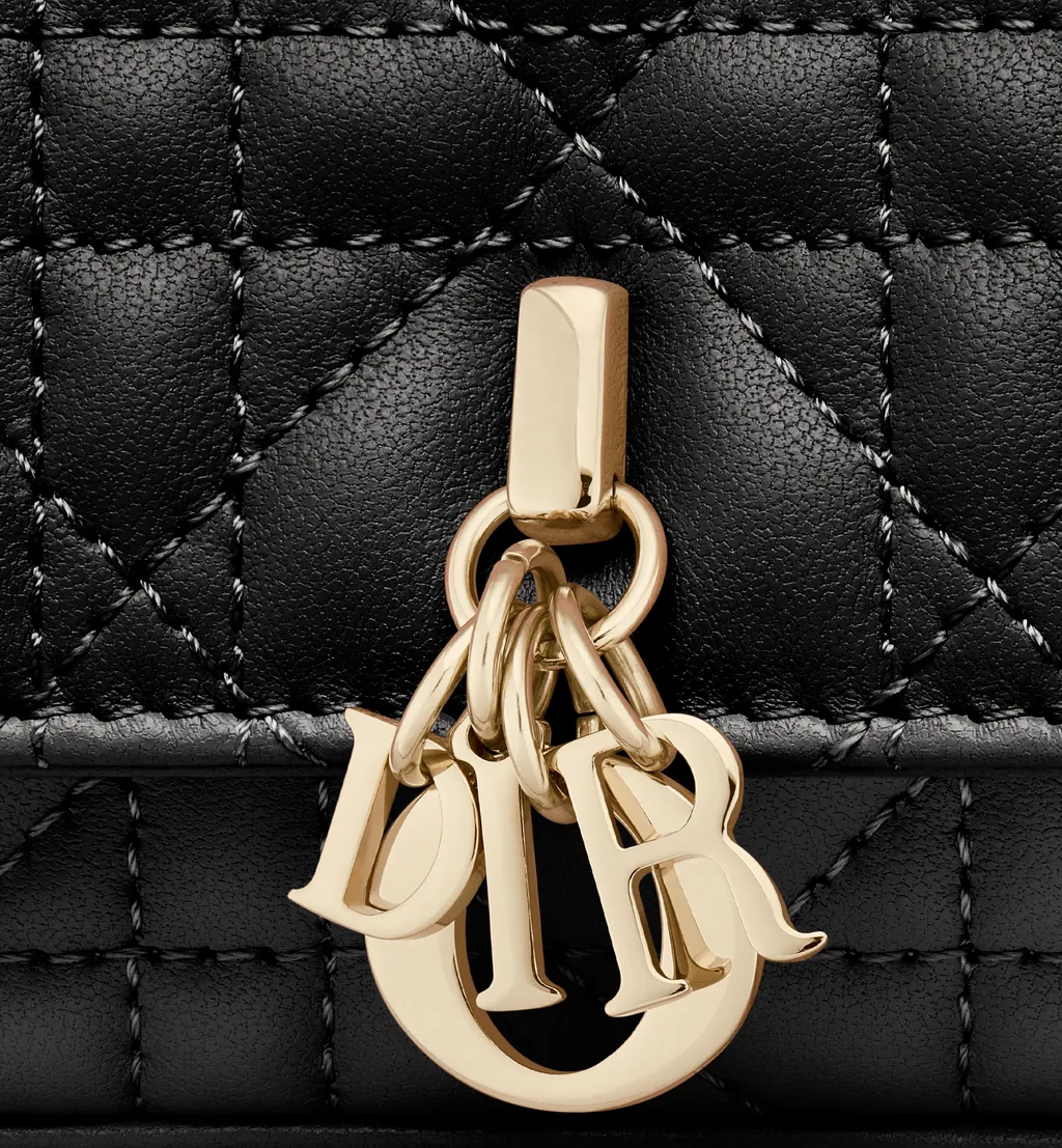 My Dior - Dior Talk Phone Pouch