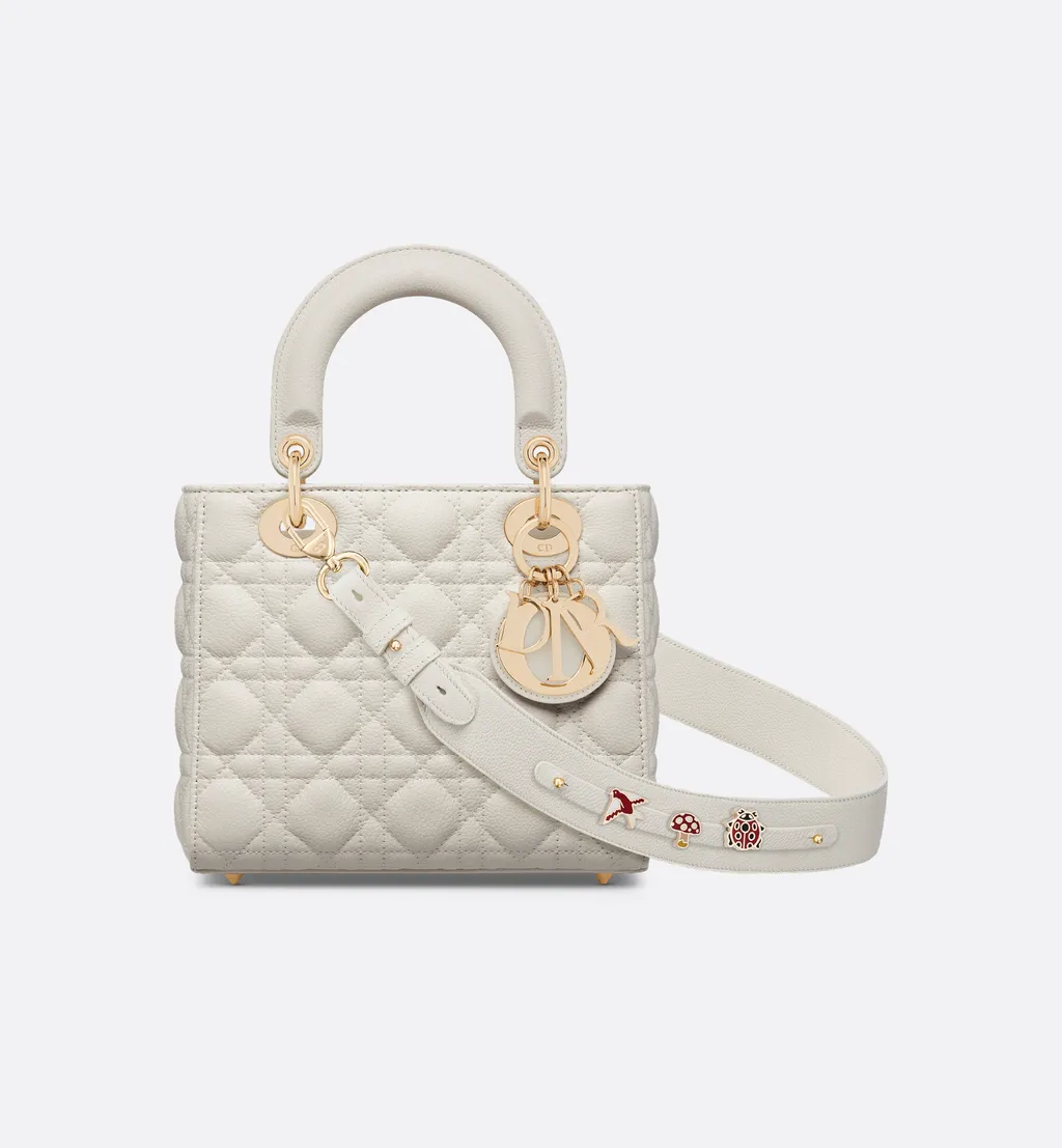 Small Lady Dior My Abcdior Bag