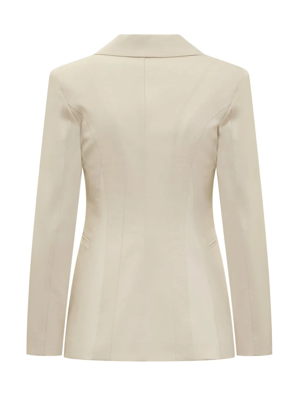Pinko Single-Breasted Fitted Blazer