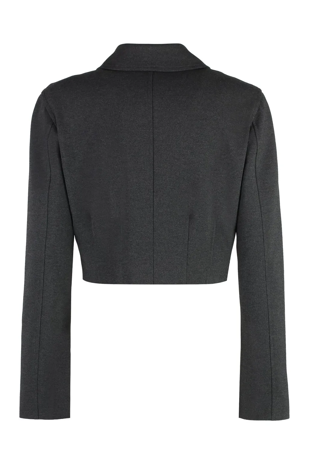 Pinko Doccia Short Single-Breasted Stitched Jacket