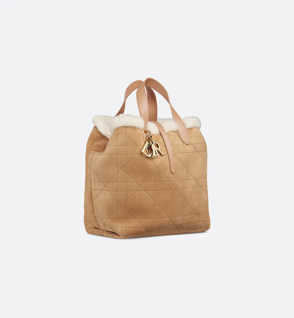 Dioralps Medium Dior Toujours Vertical Tote Bag
