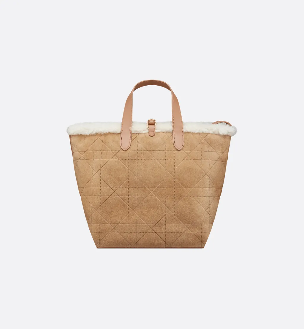 Dioralps Medium Dior Toujours Vertical Tote Bag