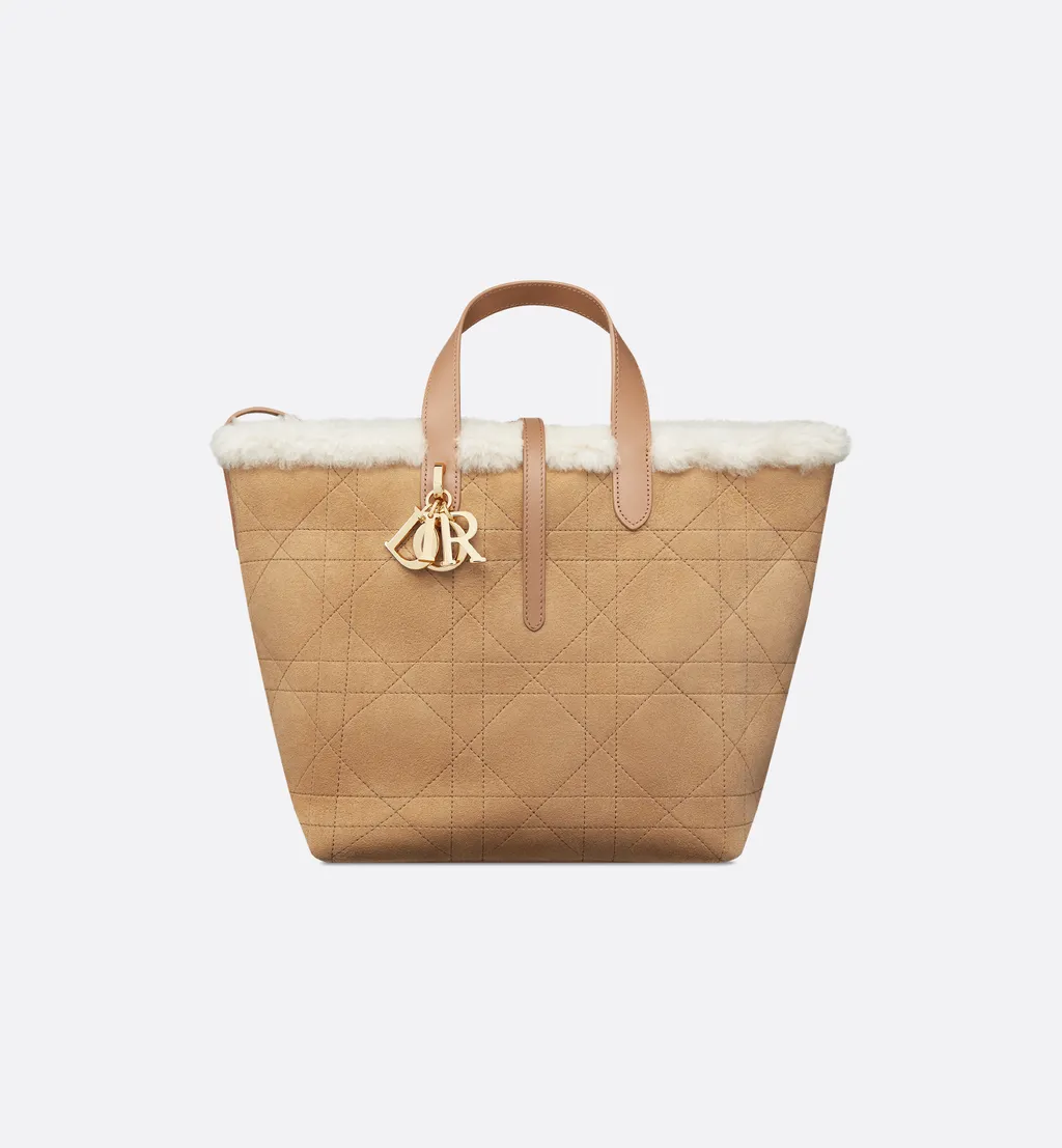 Dioralps Medium Dior Toujours Vertical Tote Bag