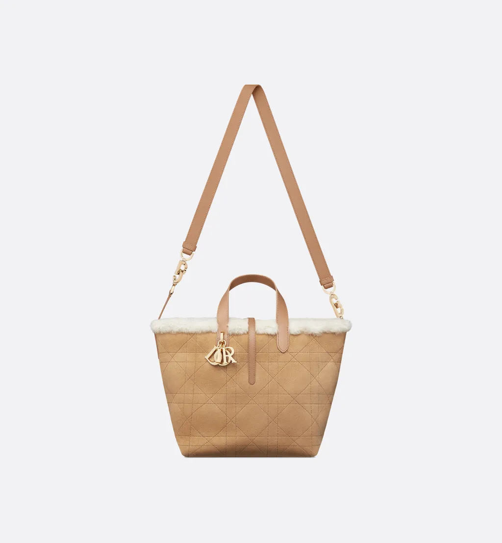 Dioralps Medium Dior Toujours Vertical Tote Bag