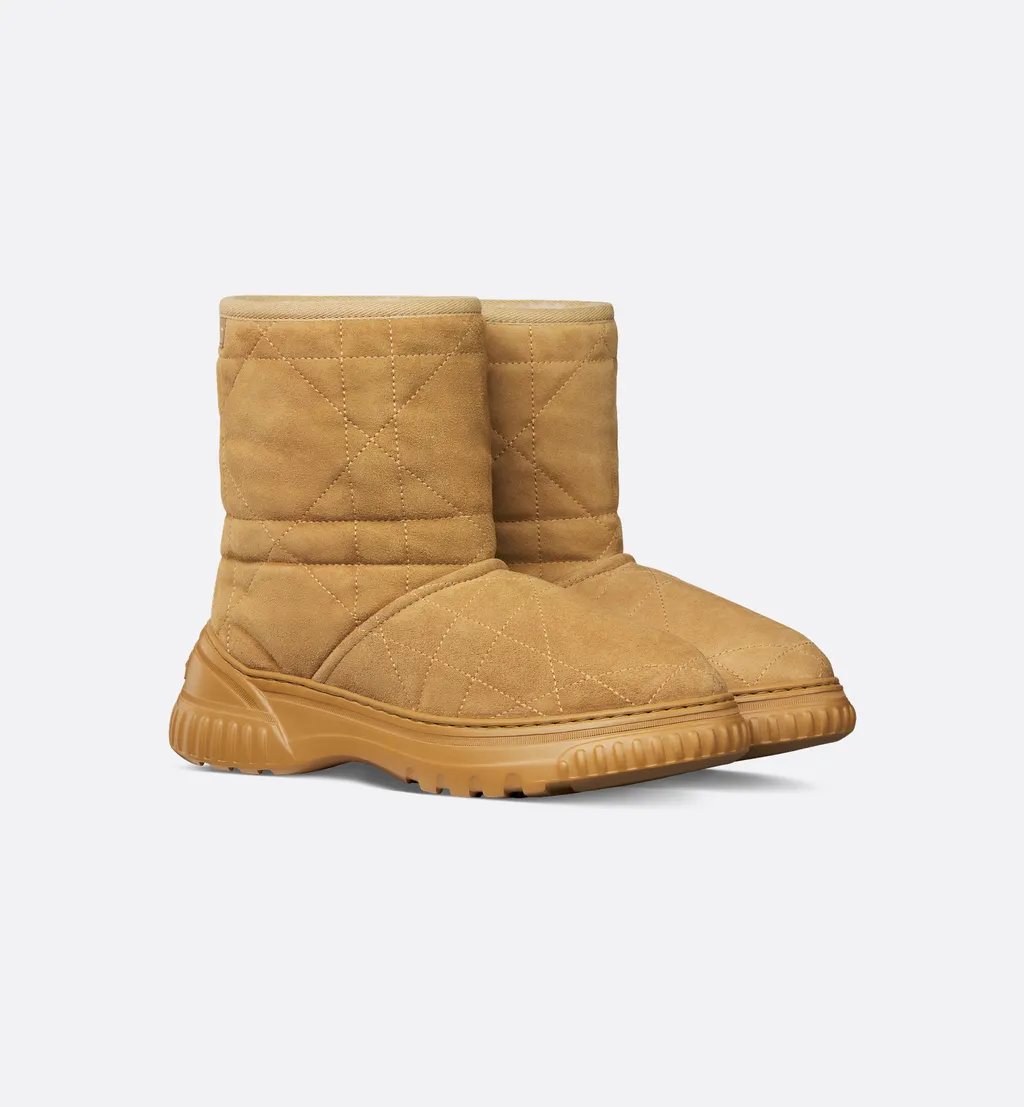 Dior Frost Ankle Boot