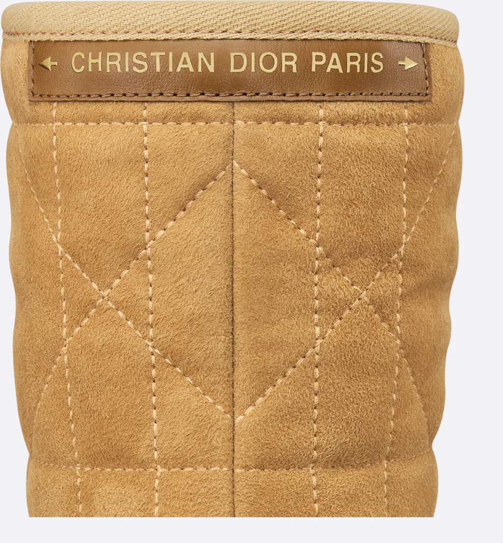 Dior Frost Ankle Boot
