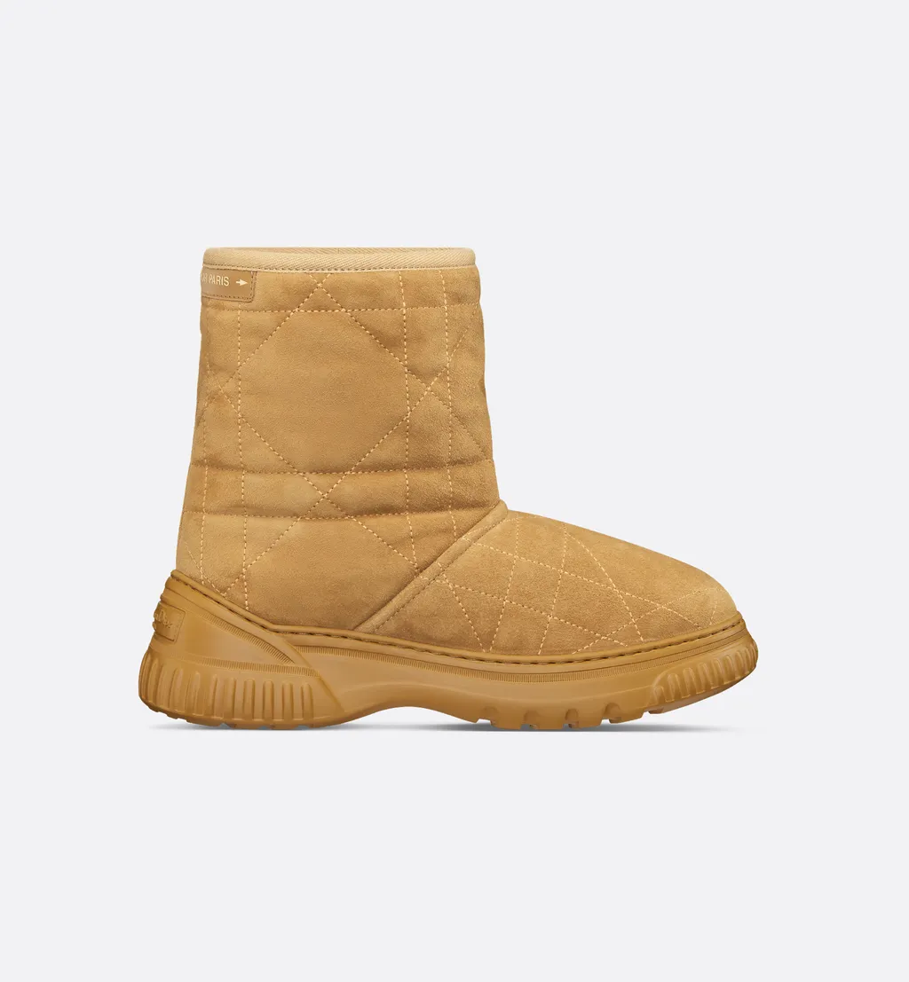Dior Frost Ankle Boot