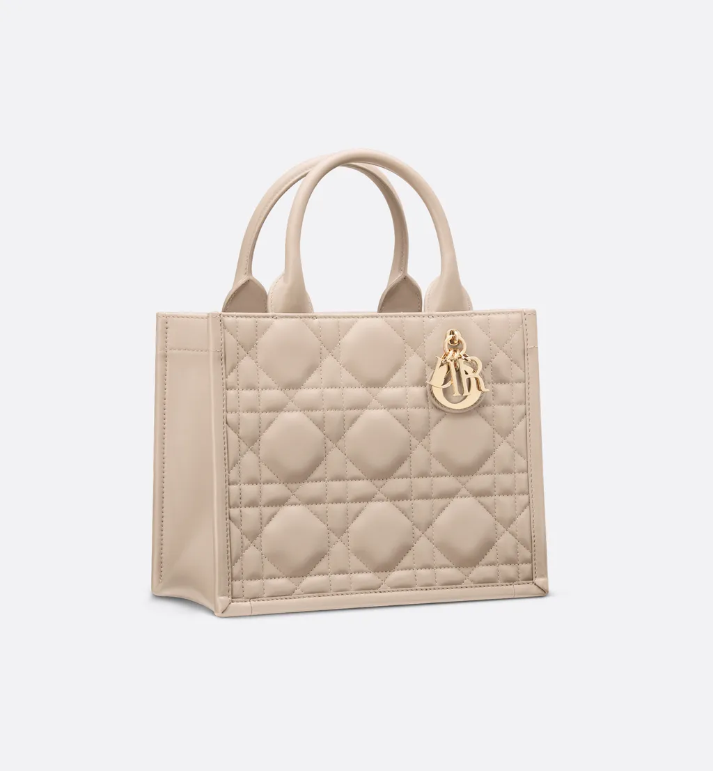 Small Dior Book Tote